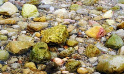 stones from the riverbed clintasha