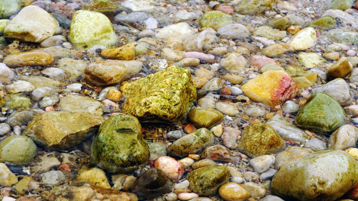 stones from the riverbed clintasha